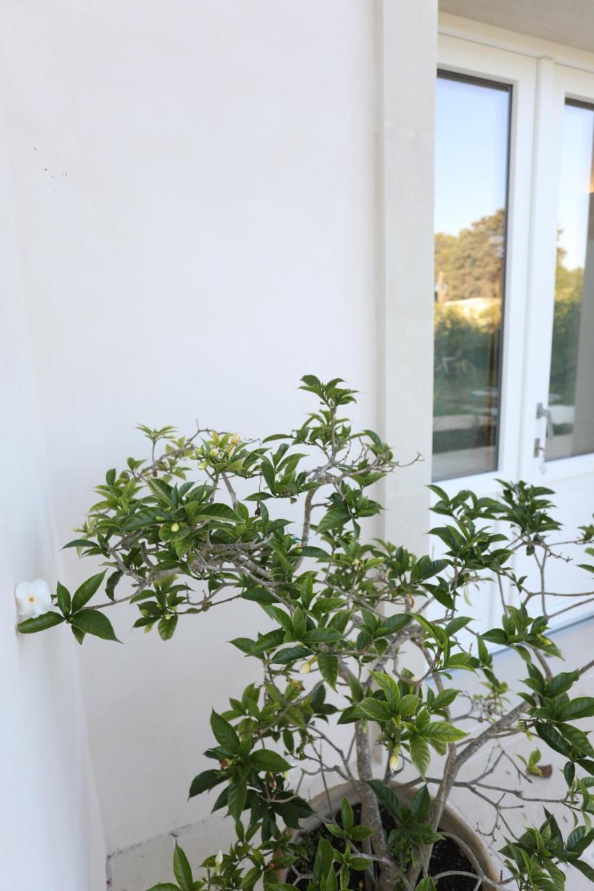 Podere 43 Charme B&B Otranto Dış mekan fotoğraf